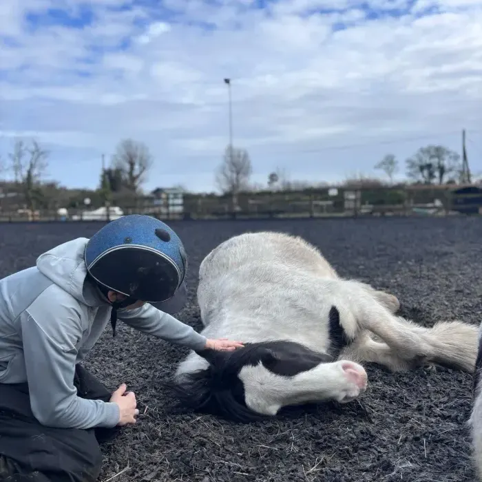 Child connecting with a horse at Maypole Farm — caring and calm